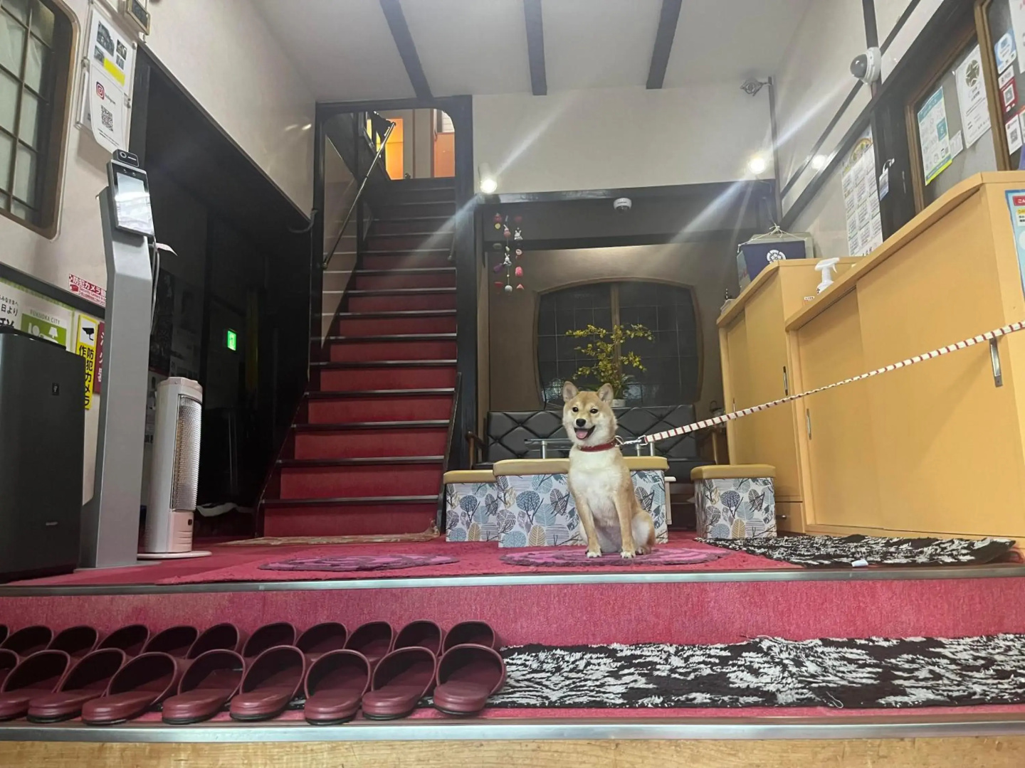 Foto - Yamamoto Ryokan