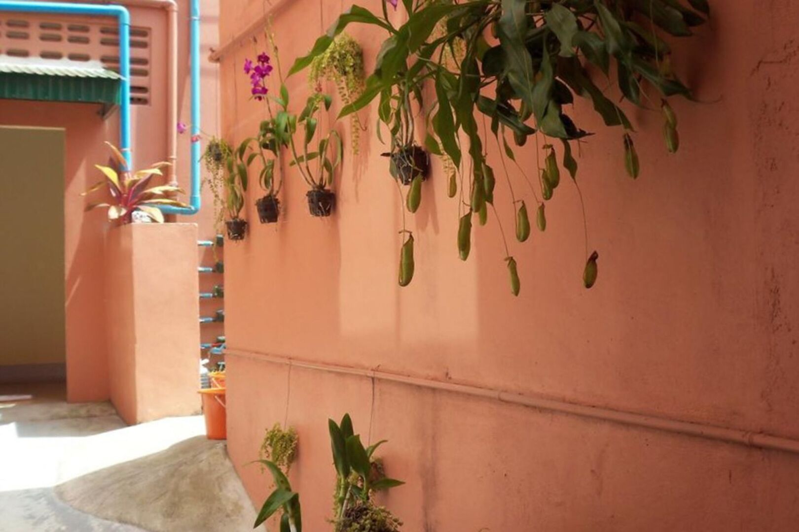 Foto - D's Corner & Guesthouse