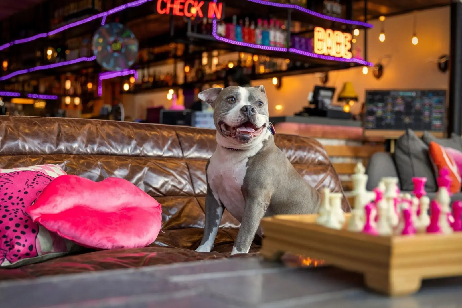 Foto - Moxy Washington, DC Downtown