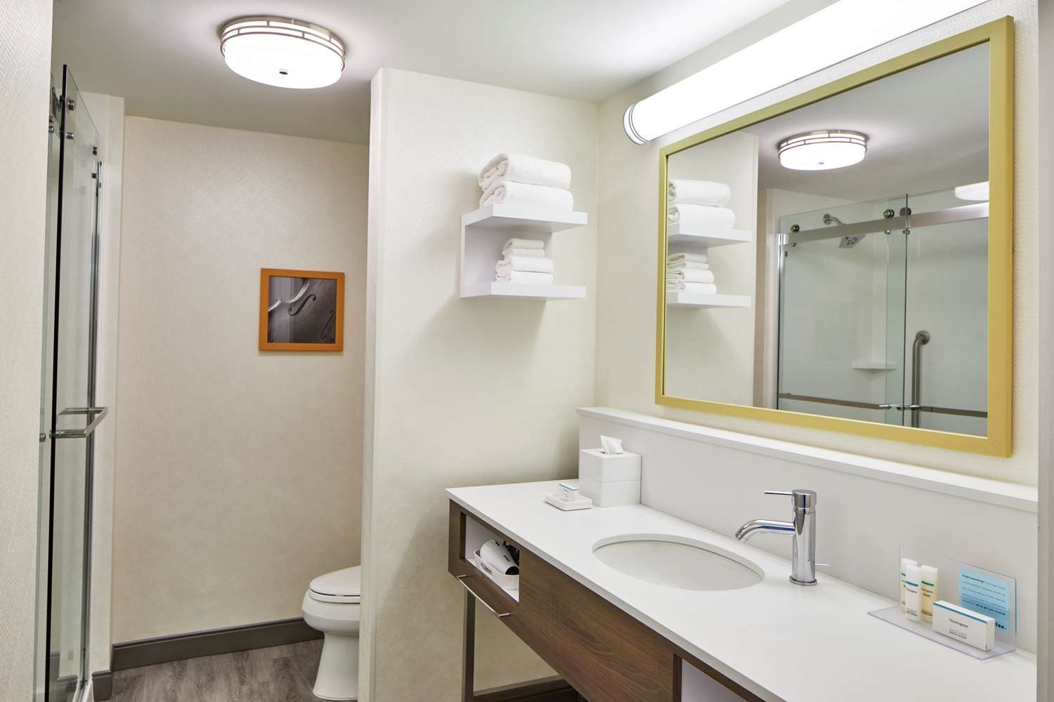 Foto - Hampton Inn & Suites Atlanta Midtown