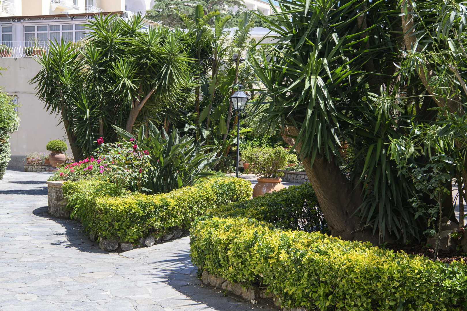 Foto - La Residenza Capri