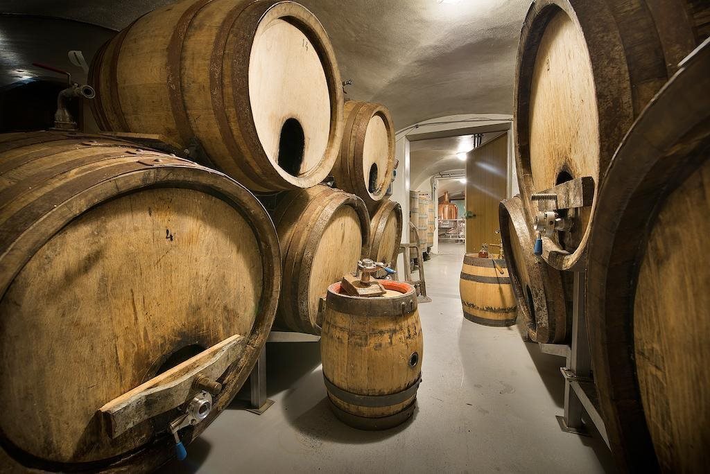 Foto - U Medvidku-Brewery Hotel