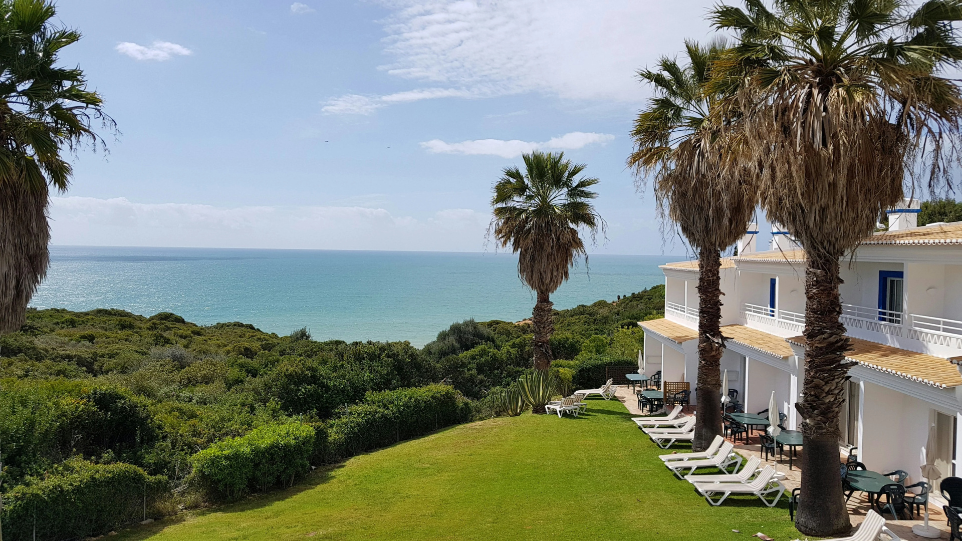 Photo - Pestana Palm Gardens