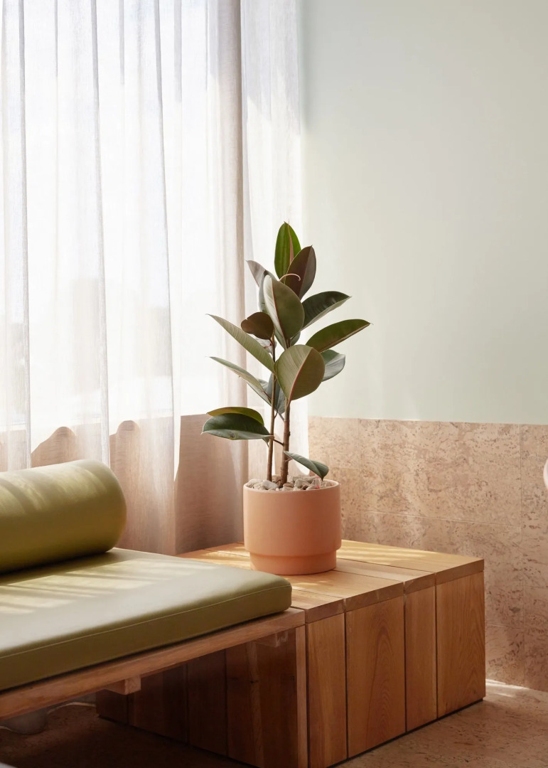 Foto - The Calile Hotel