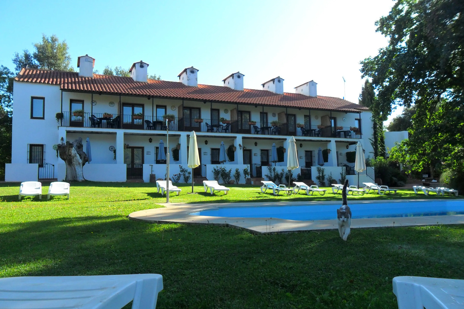 Foto - Hotel Apartamento Rural Finca La Media Legua