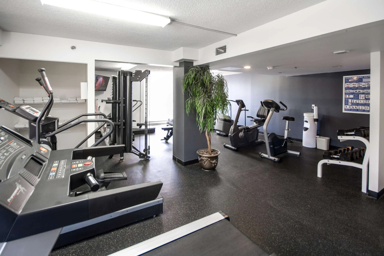 Photo - Hotel Faubourg Montreal Centre-Ville Downtown