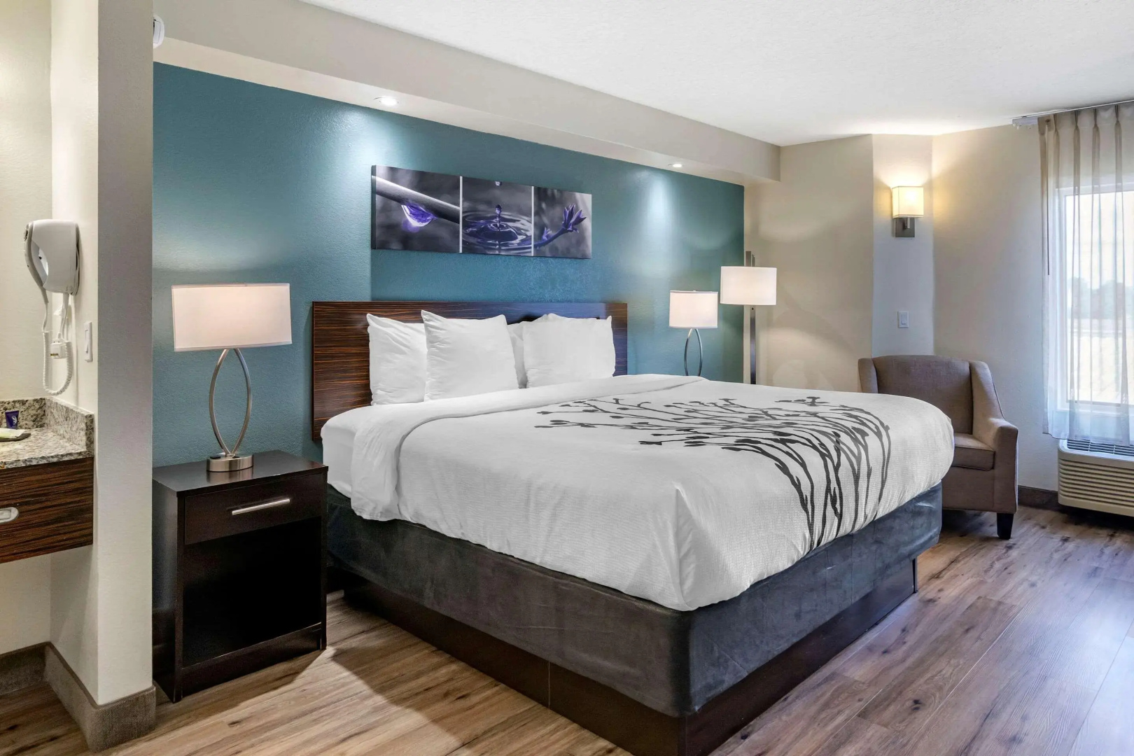 Photo - Sleep Inn Clearwater-St Petersburg