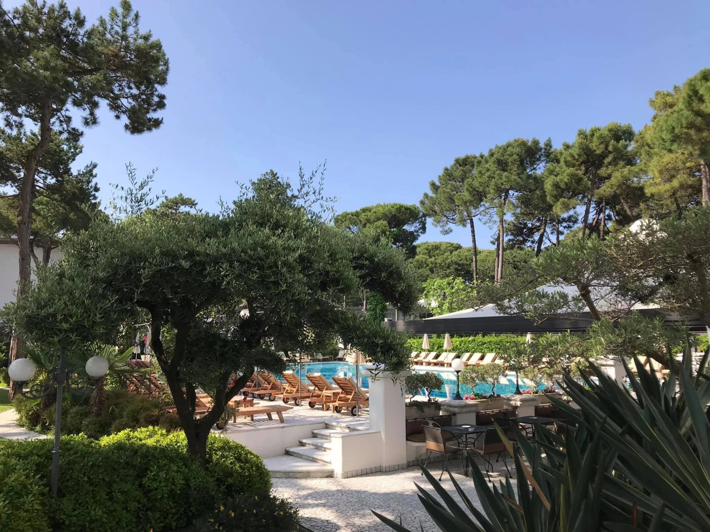 Foto - Hotel Greif