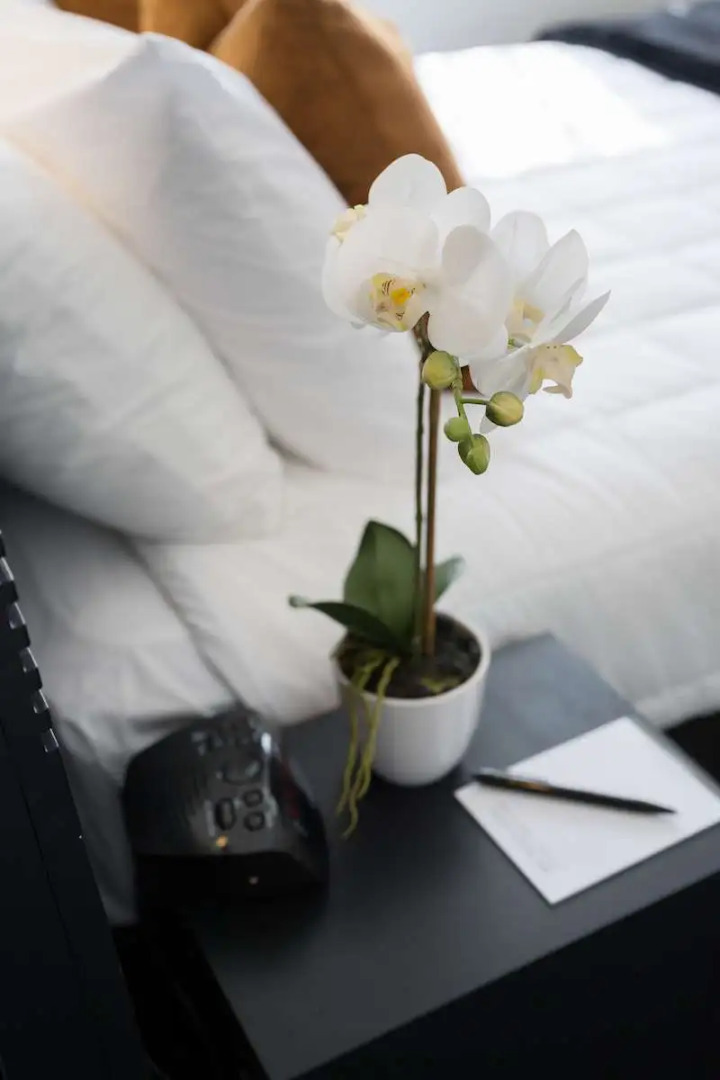 Photo - Bay Plaza Hotel