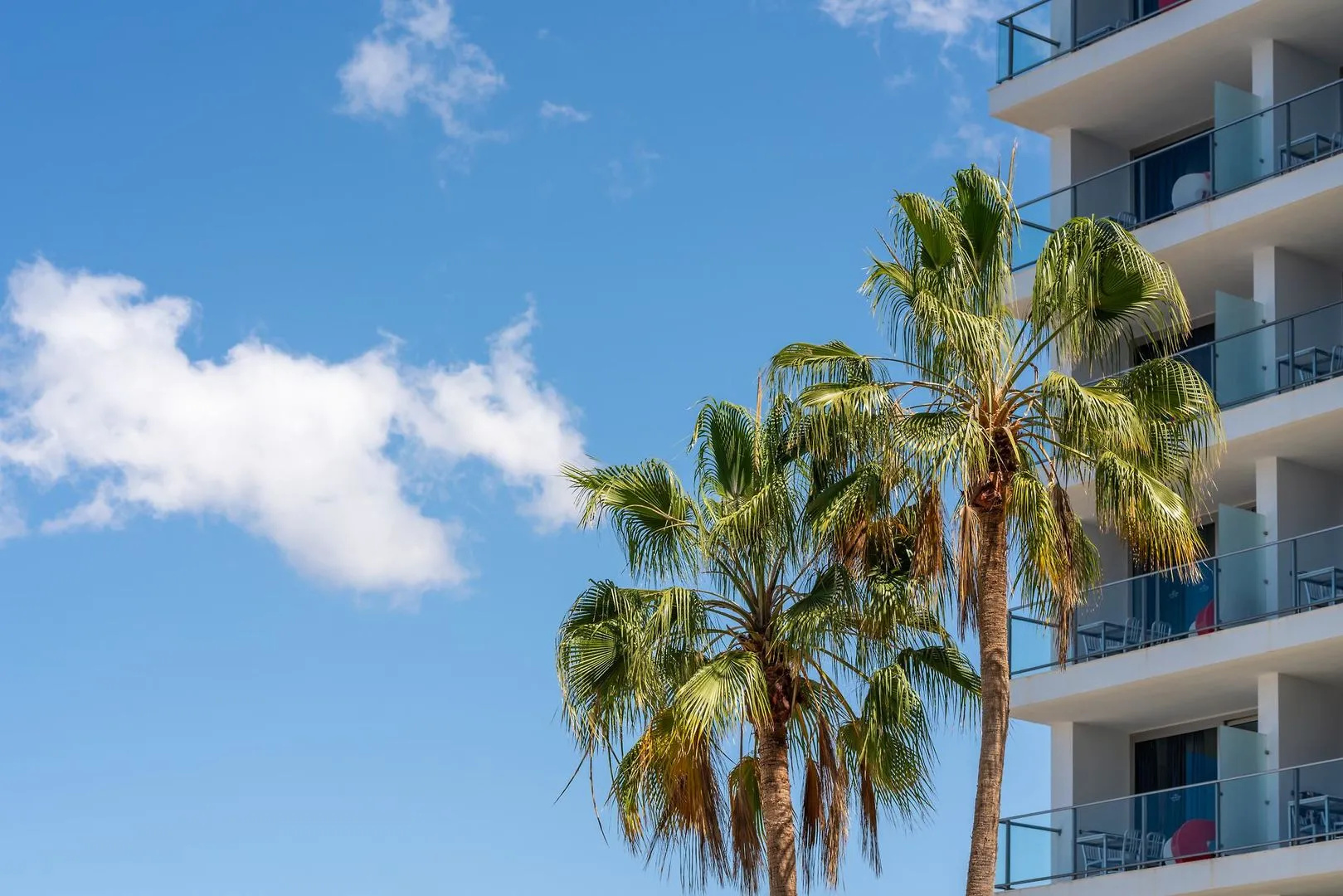 Foto - Marina Suites Gran Canaria
