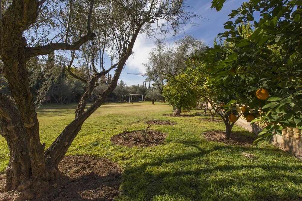 Foto - Villa Zahra Palmeraie