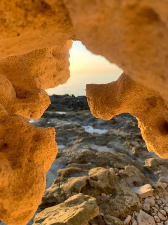 Photo - Dar Lola Djerba