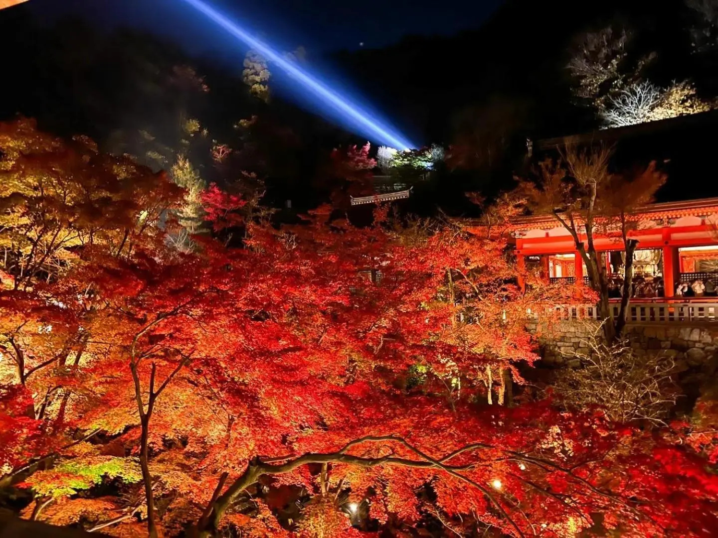 Photo - Rinn Gion Kenninji Villa