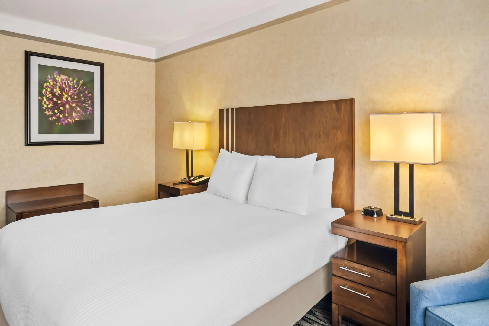 Photo - Best Western Plus Pitt Meadows Inn & Suites