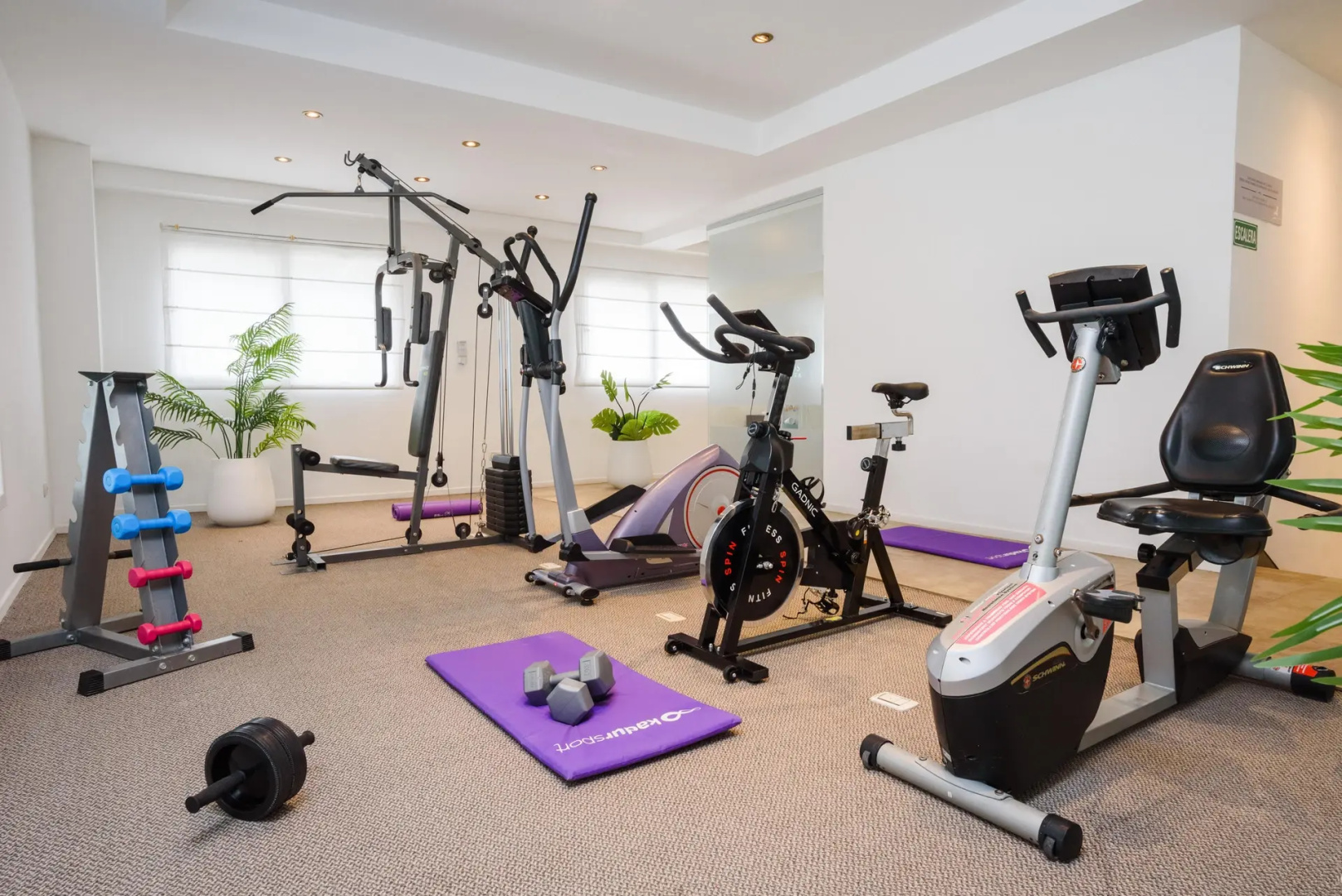 Foto - Lagos Del Calafate