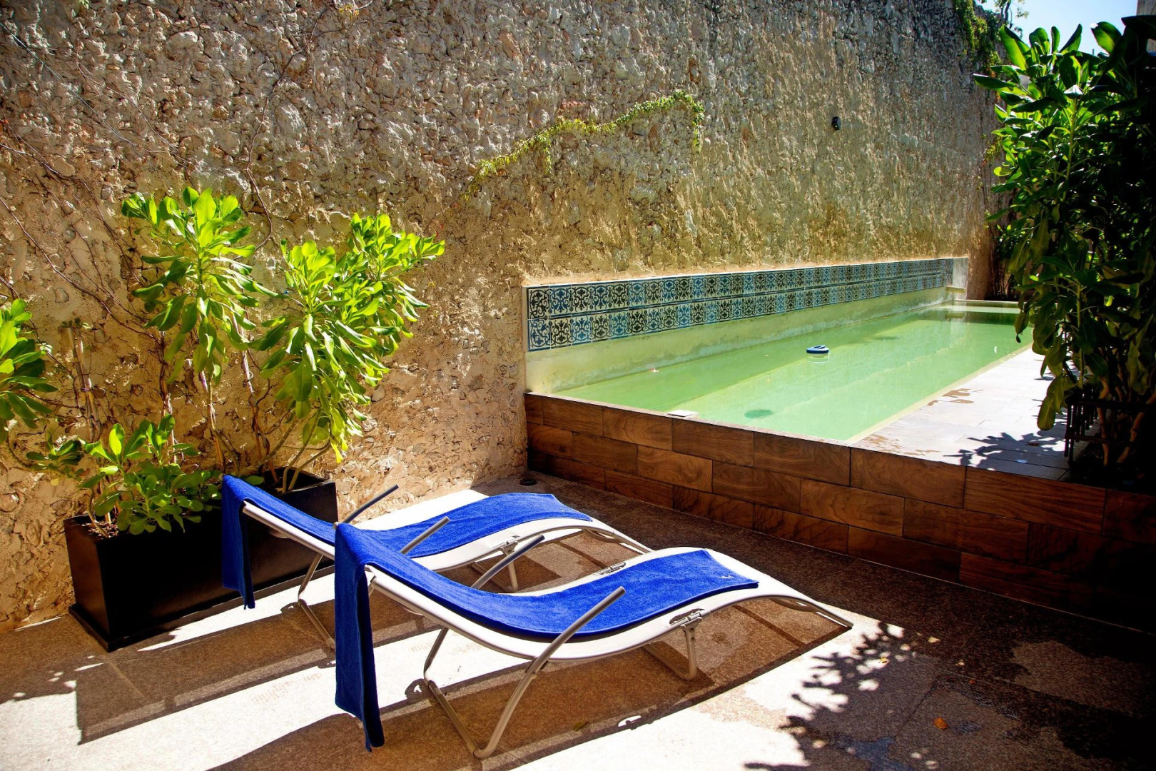 Foto - Ya'ax Hotel Boutique