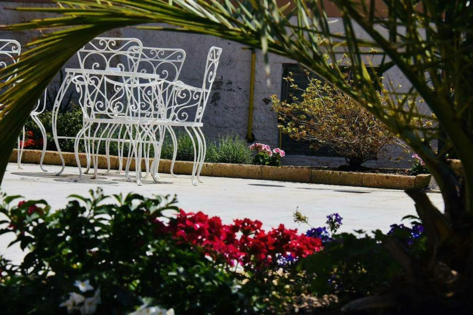 Photo - Hotel Astoria Pesaro