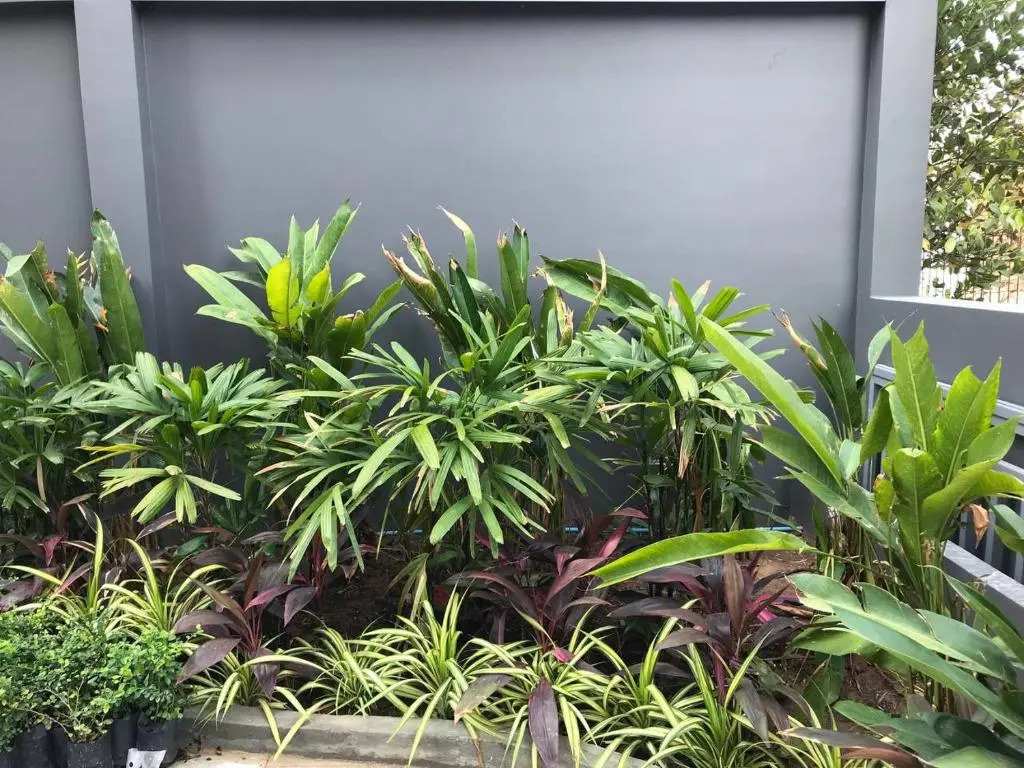 Foto - Hotel Chom Chao City