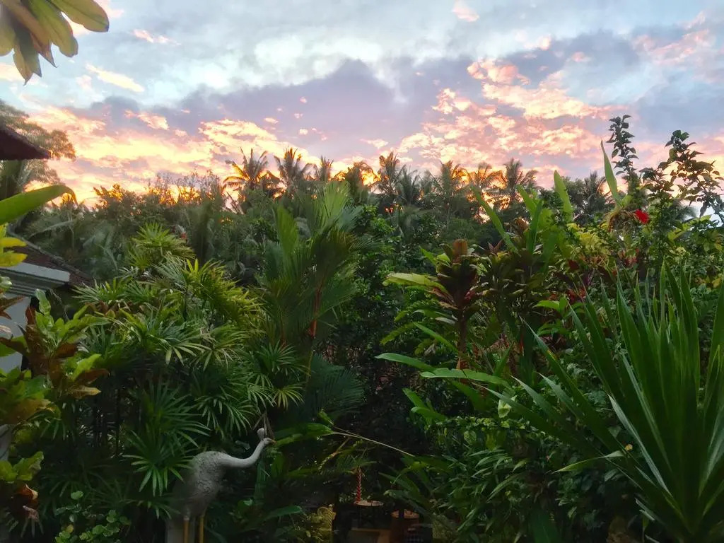 Photo - Bali Spirit Hotel and Spa, Ubud