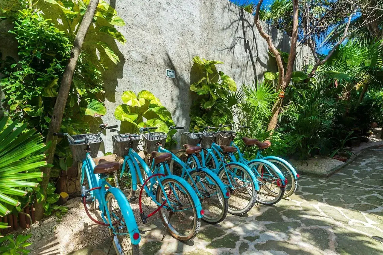 Photo - Villa Pescadores Tulum