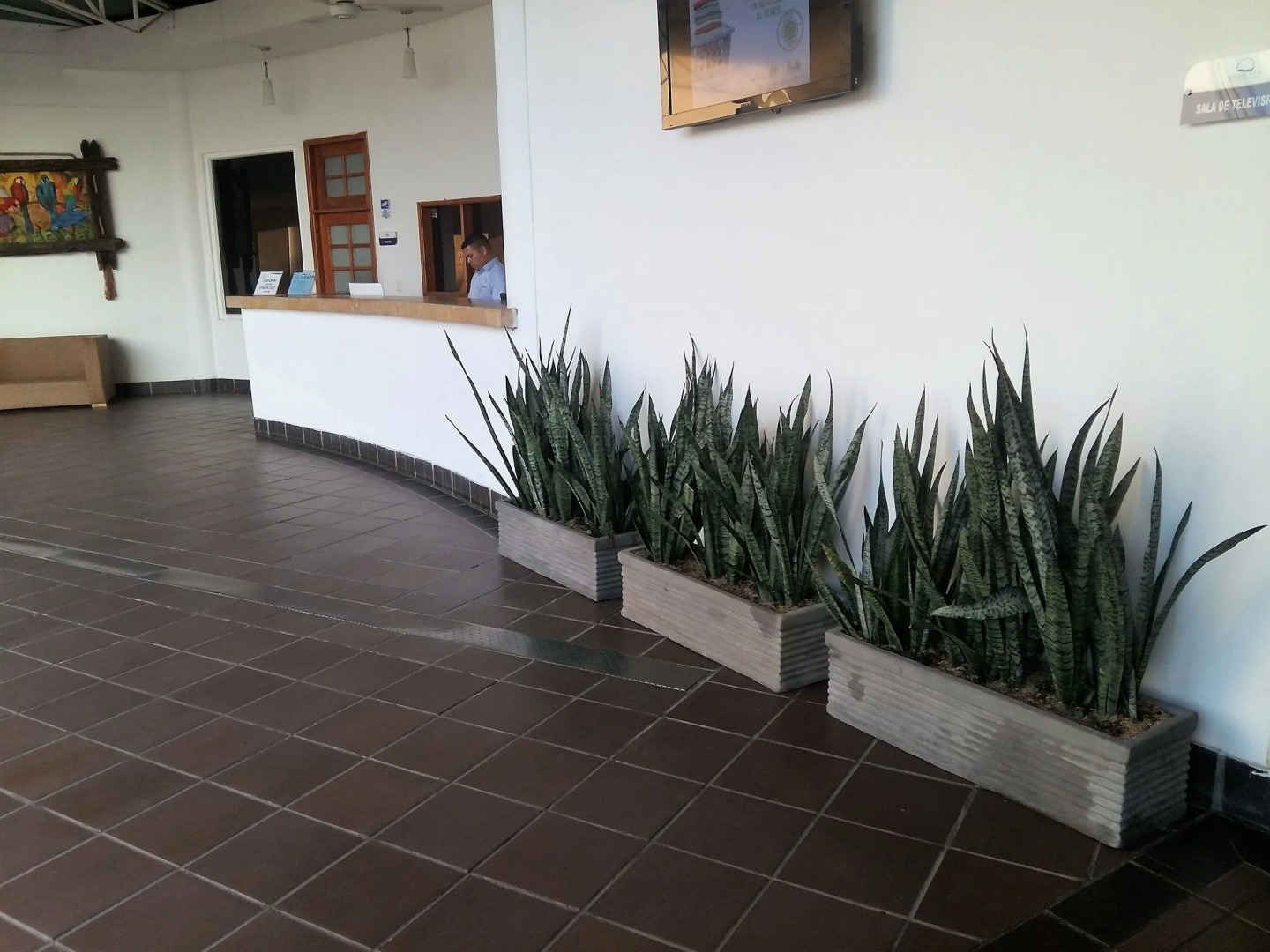 Foto - Sanha Plus Hotel