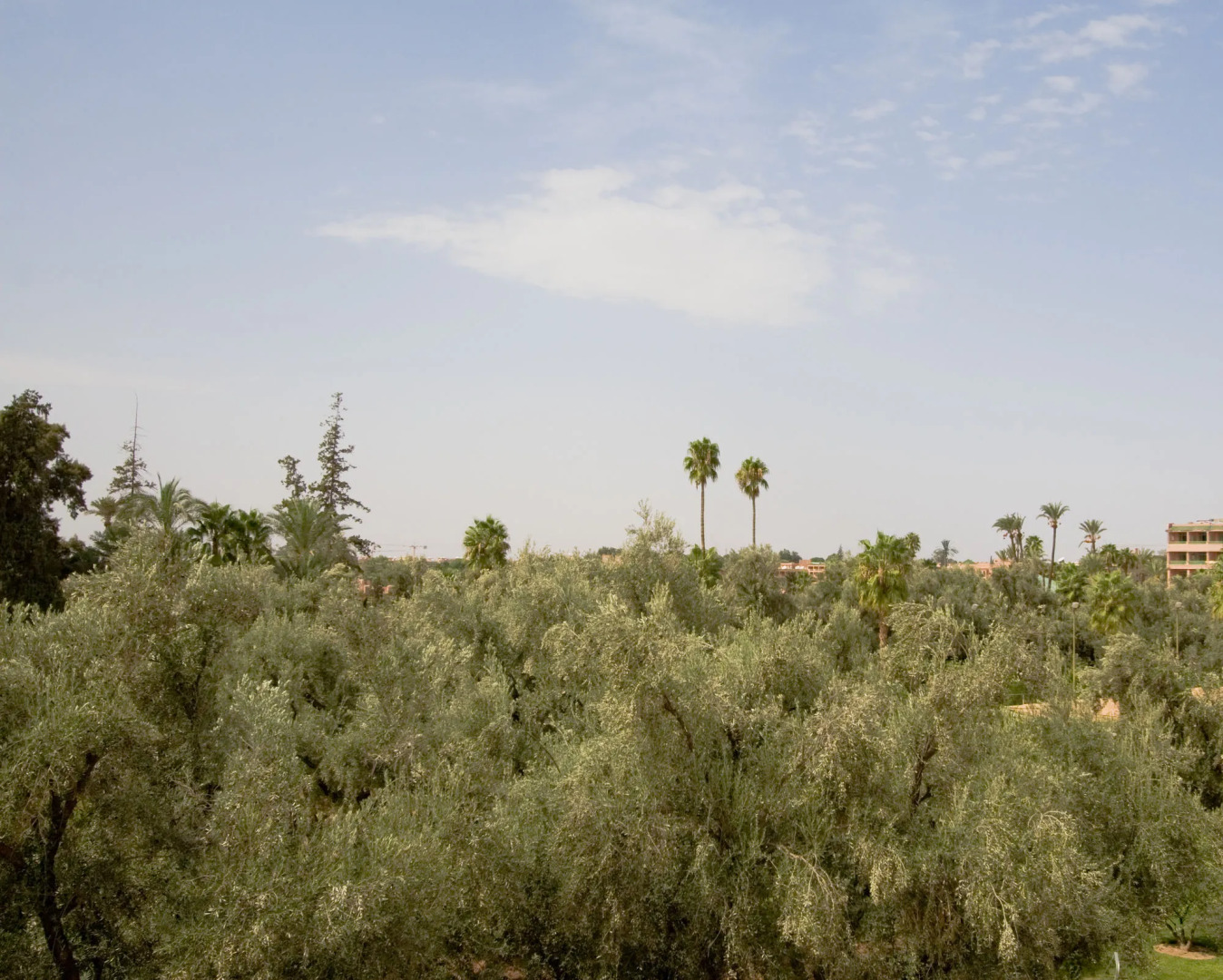 Photo - Riad Anya & SPA