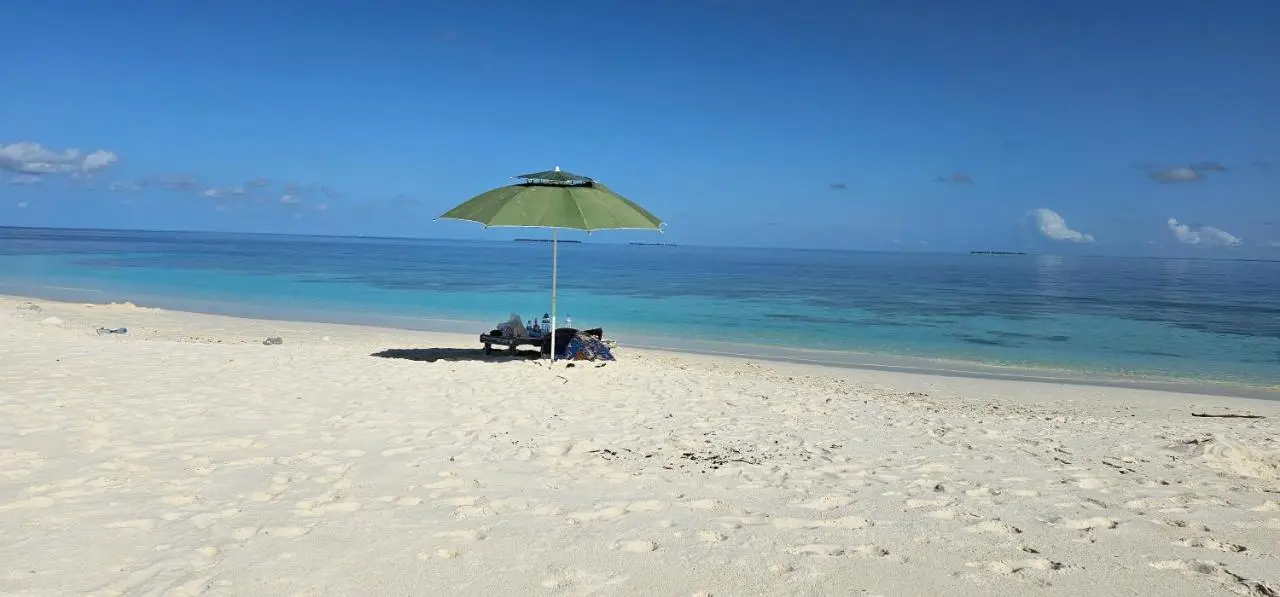 Photo - Turtle Maldives - Your Gateway to the Beach & Marine Adventures Await!