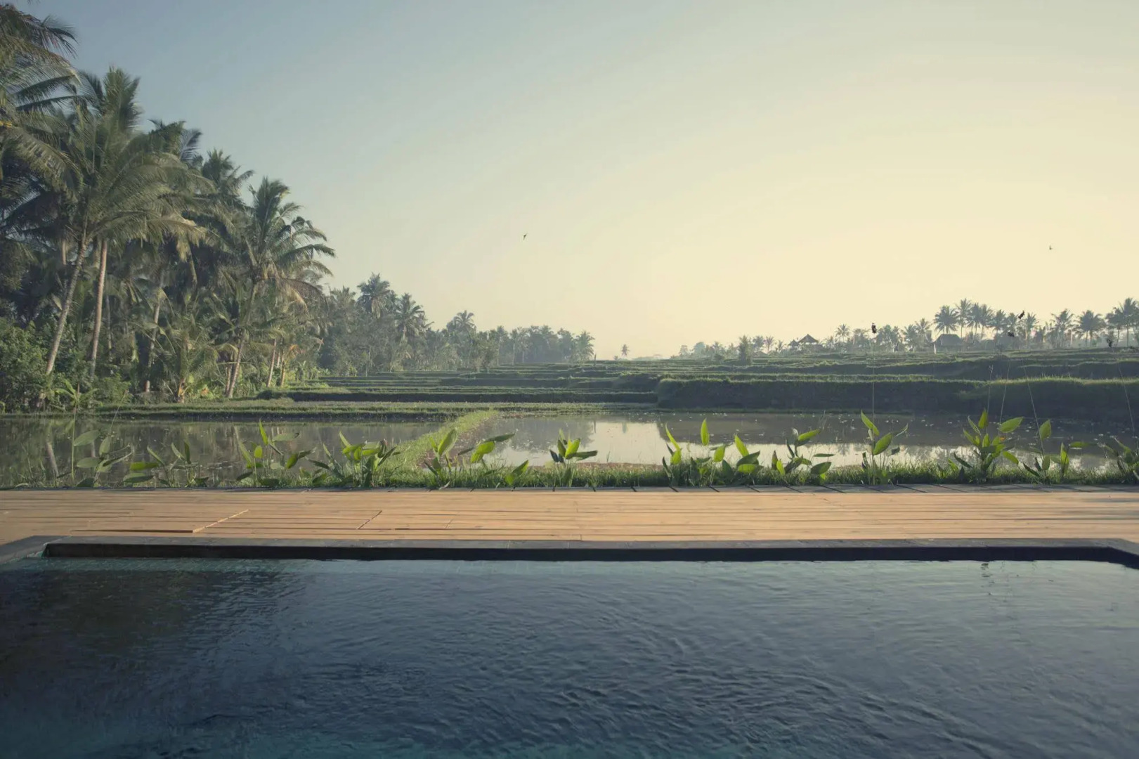 Foto - Manyi Village Ubud