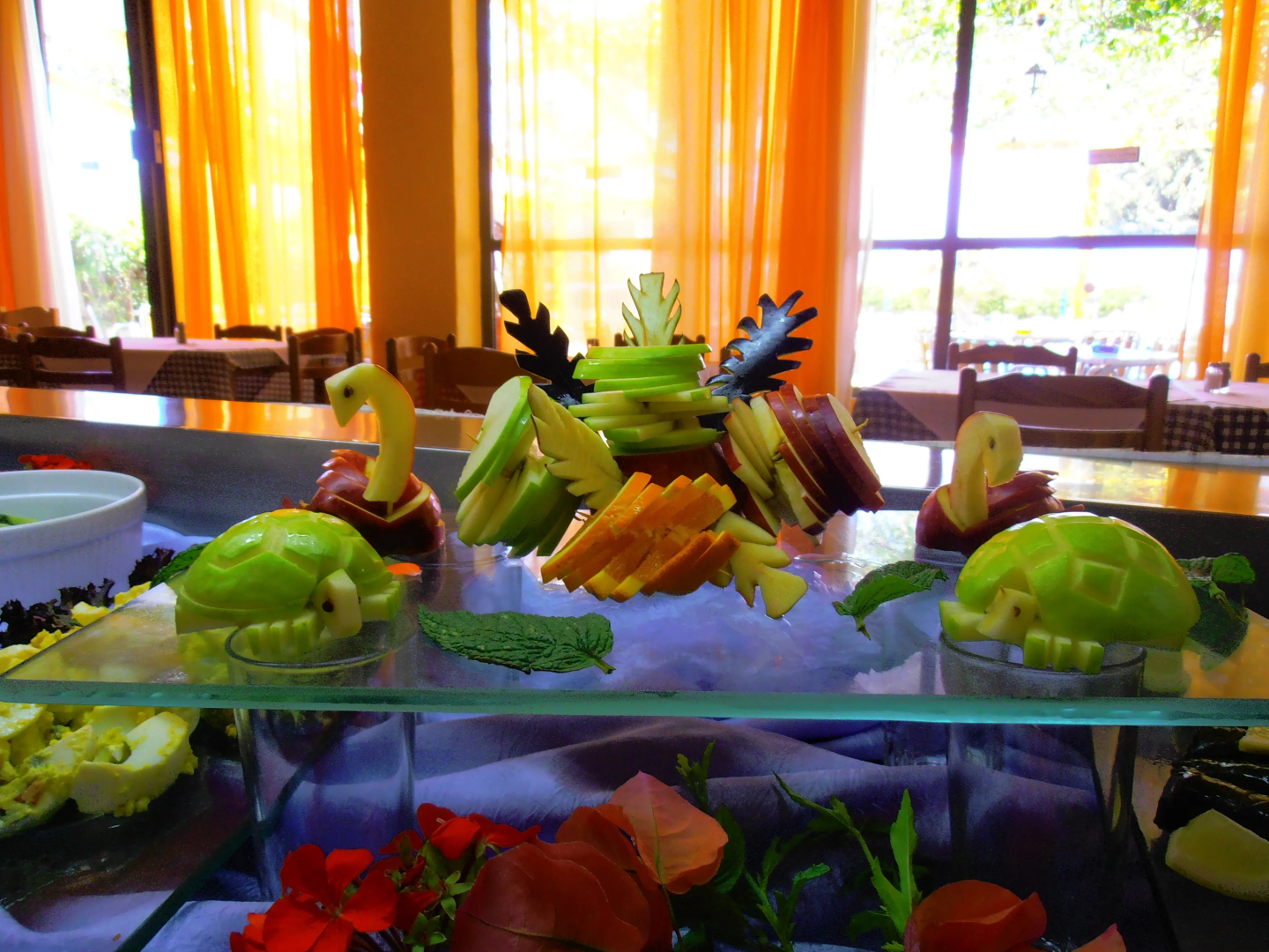 Foto - BELVITA Hotel