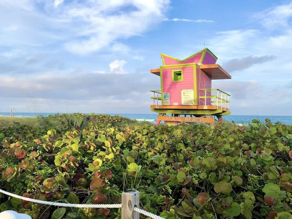 Foto - Seacoast by Miami Ambassadors