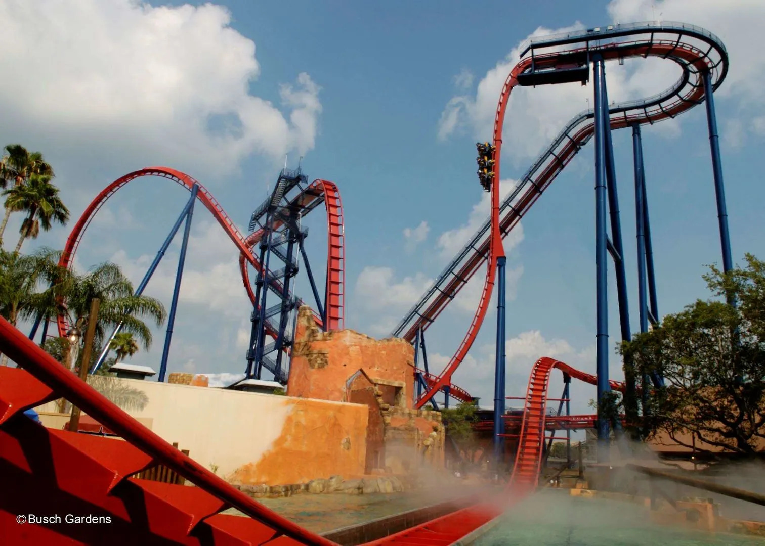 Foto - Embassy Suites by Hilton Tampa USF Near Busch Gardens