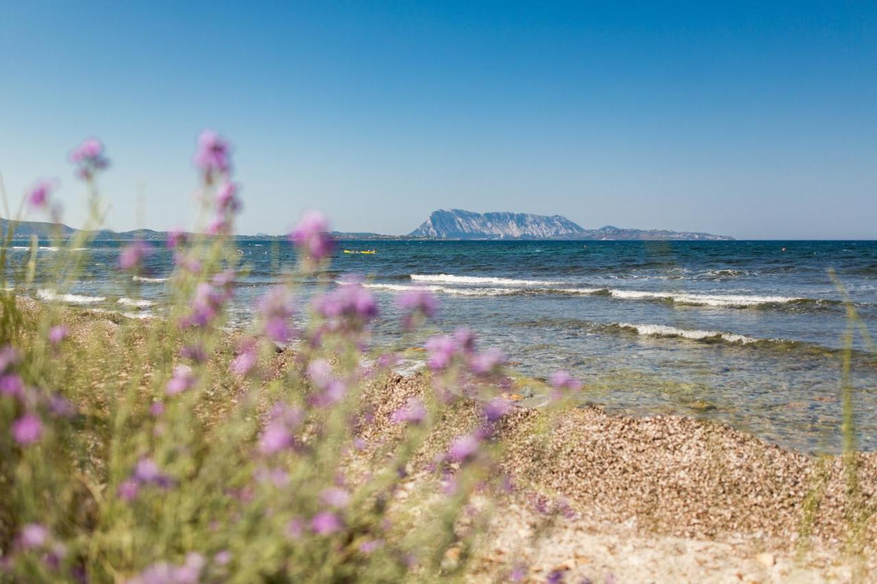 Photo - TH San Teodoro - Liscia Eldi Village