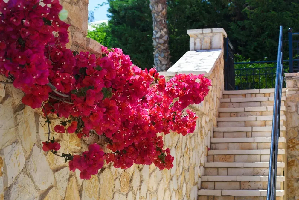 Foto - Tesori Dassia Villas