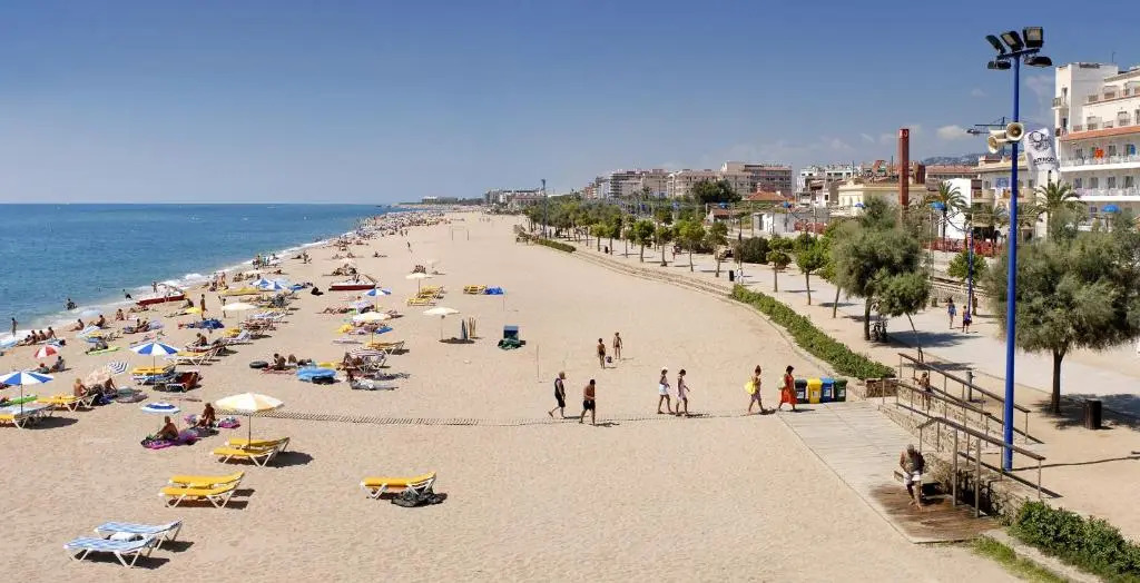 Foto - ALEGRIA Cartago Nova