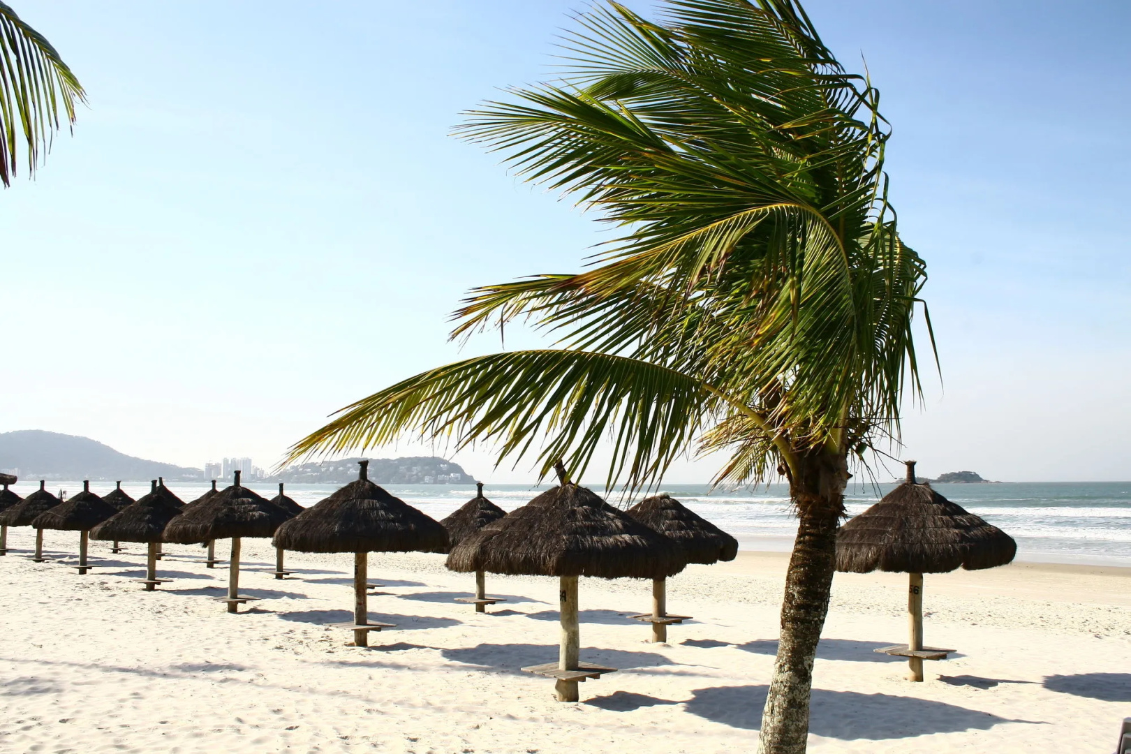 Foto - Delphin Beach Hotel