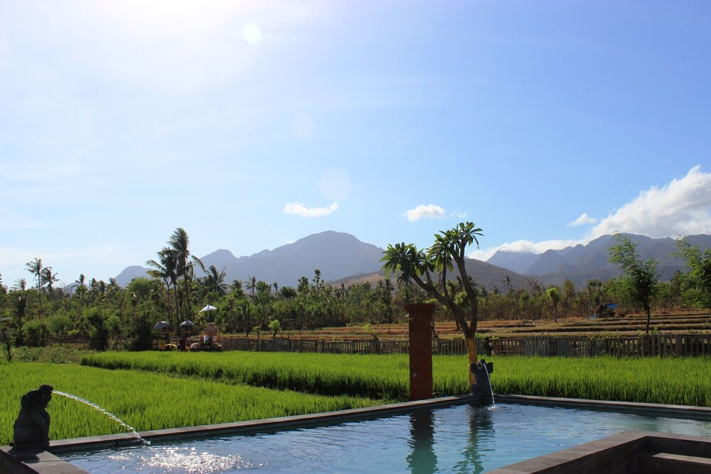 Foto - Umma Bali Menjangan