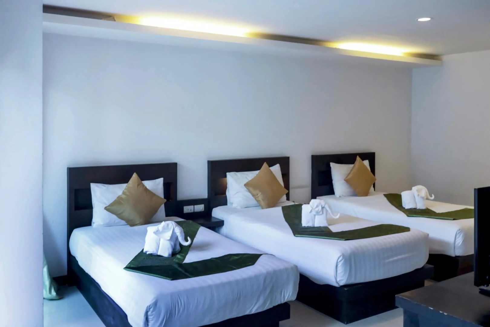 Foto - Zephyr Grand Hotel