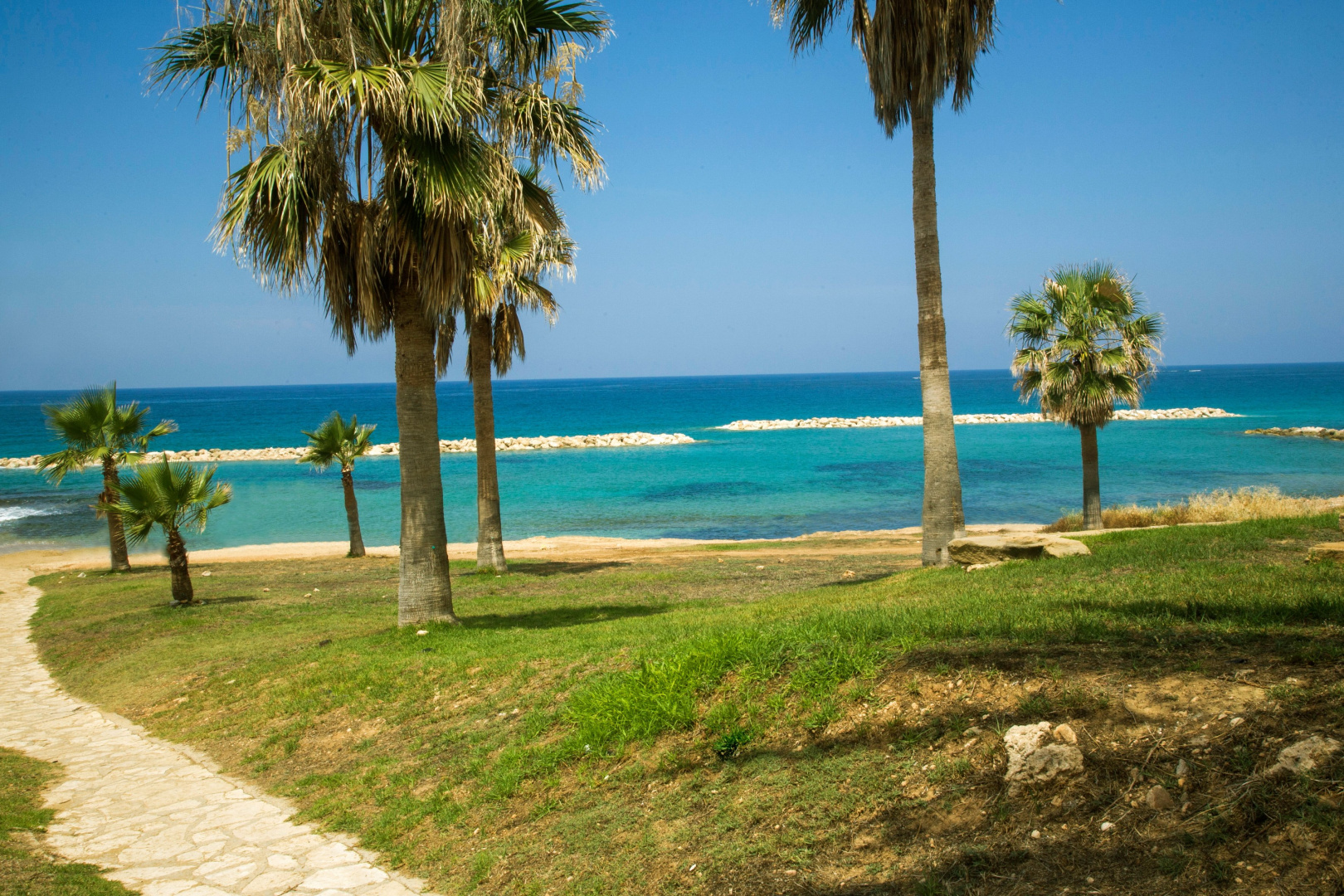 Photo - Venus Beach Hotel