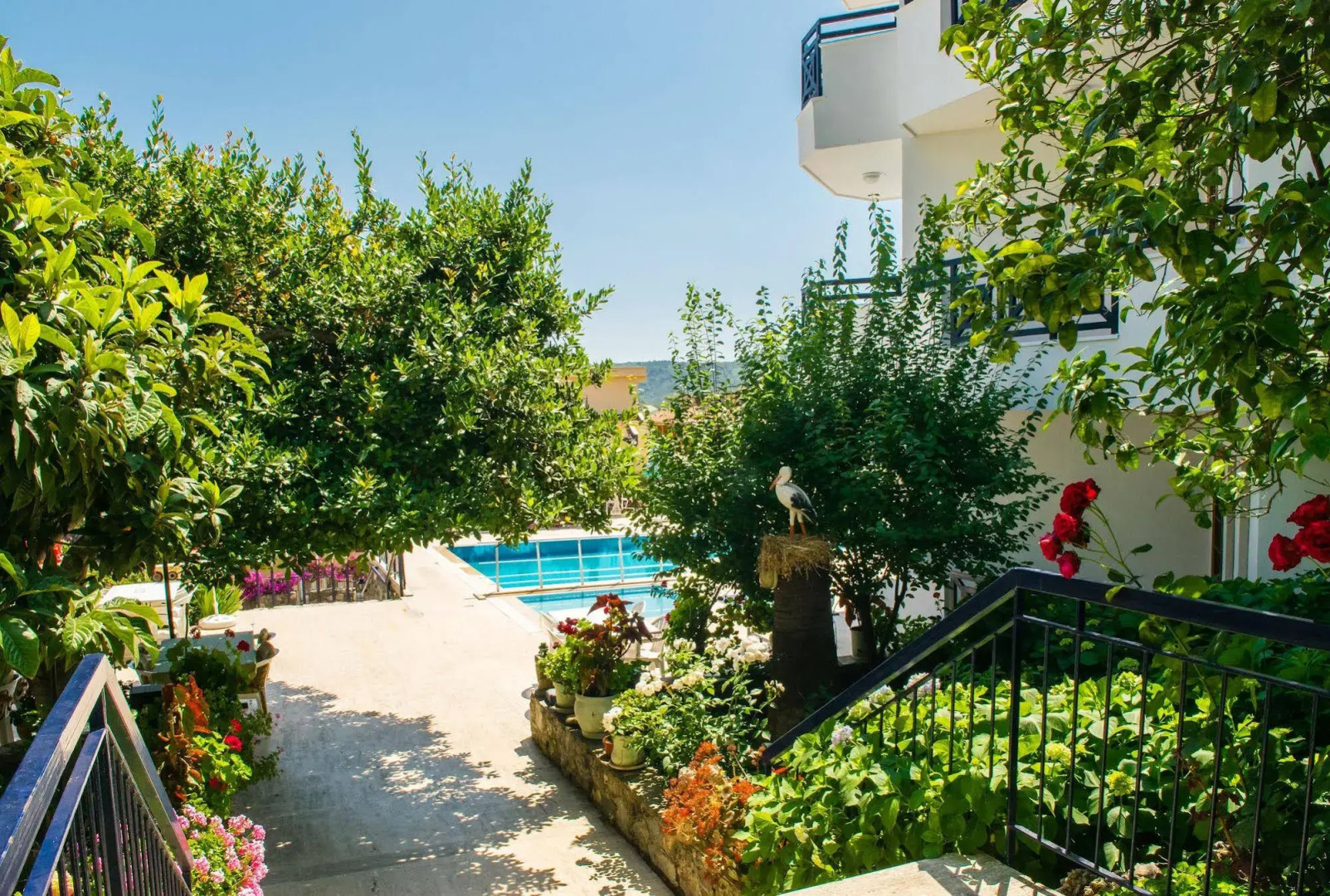 Photo - Naturella Apart