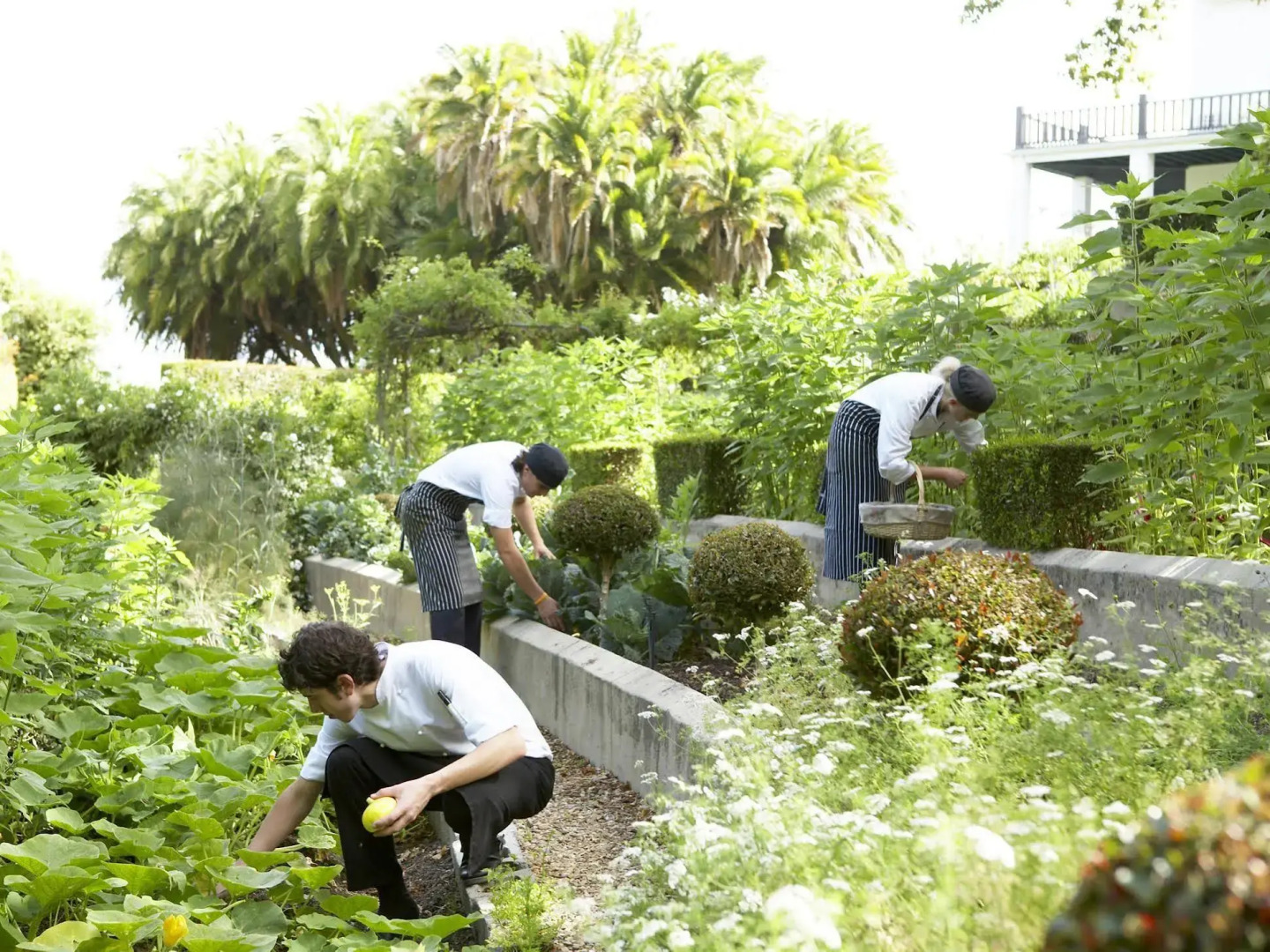 Photo - The Cellars-Hohenort