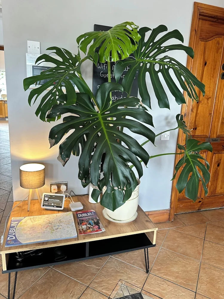 Photo - Malahide Guest Rooms