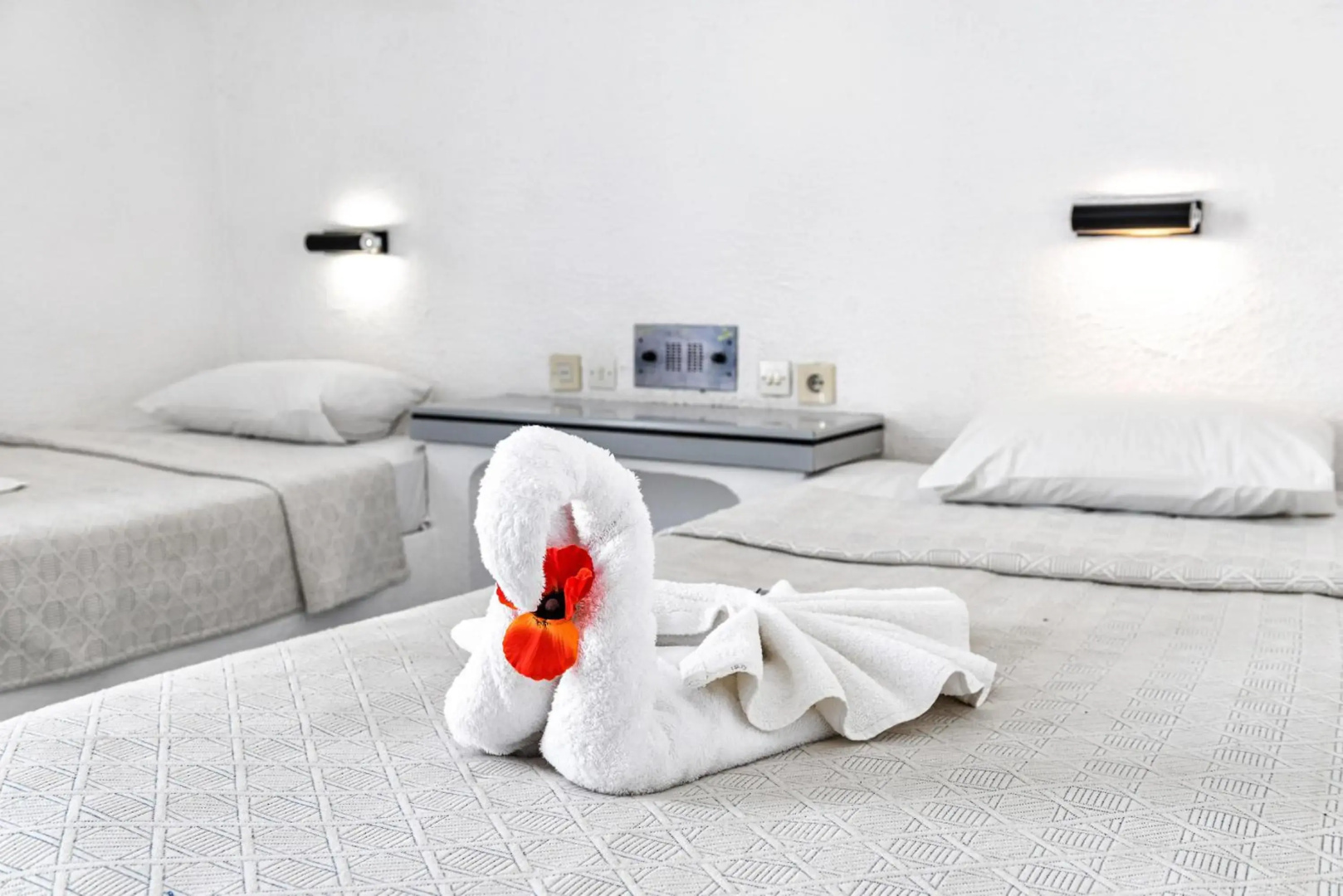 Foto - Hotel Iro