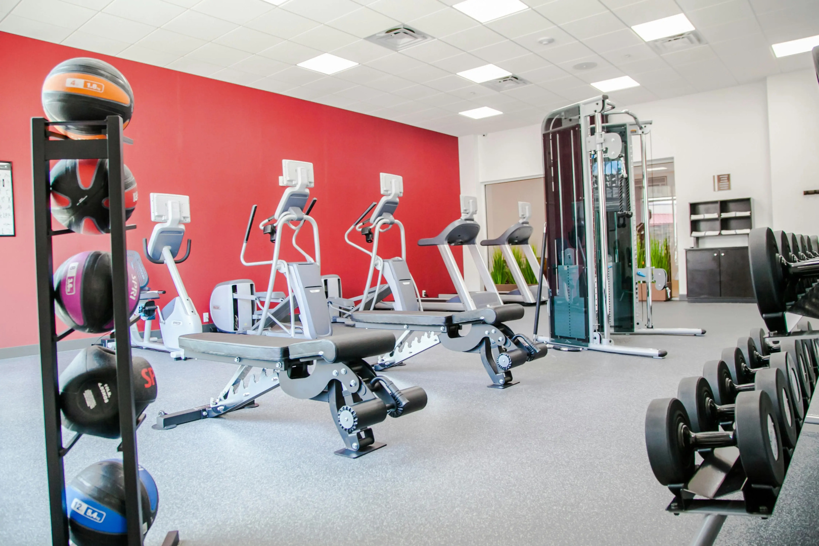 Foto - Hilton Garden Inn Tampa Suncoast Parkway