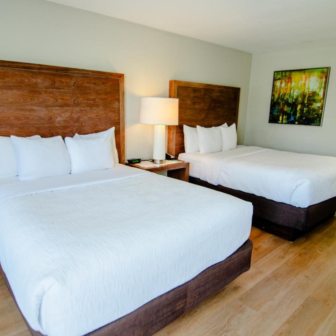 Foto - Quality Inn & Suites By the Parks