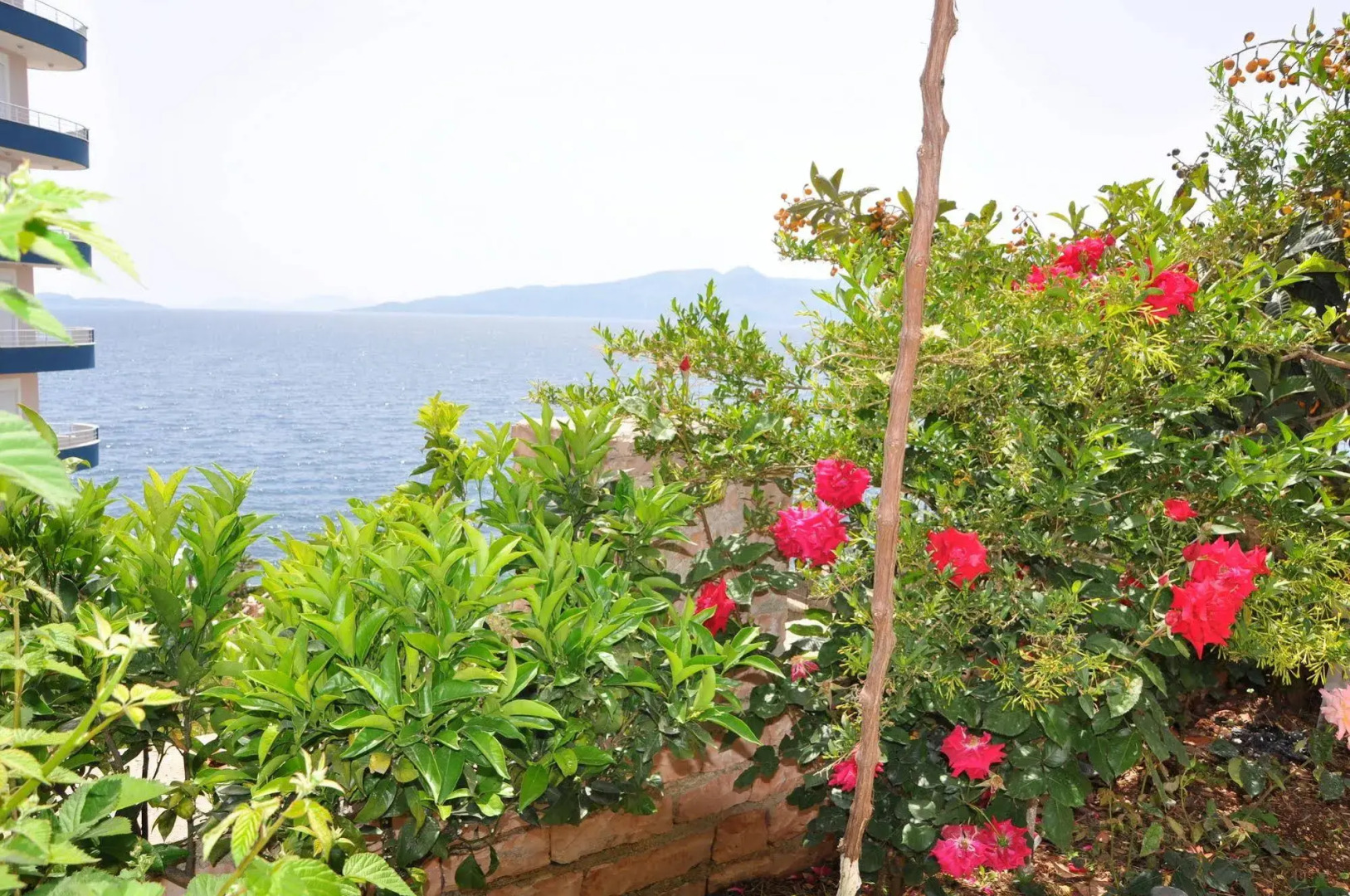 Foto - Hotel Vila Alvin & Apartments