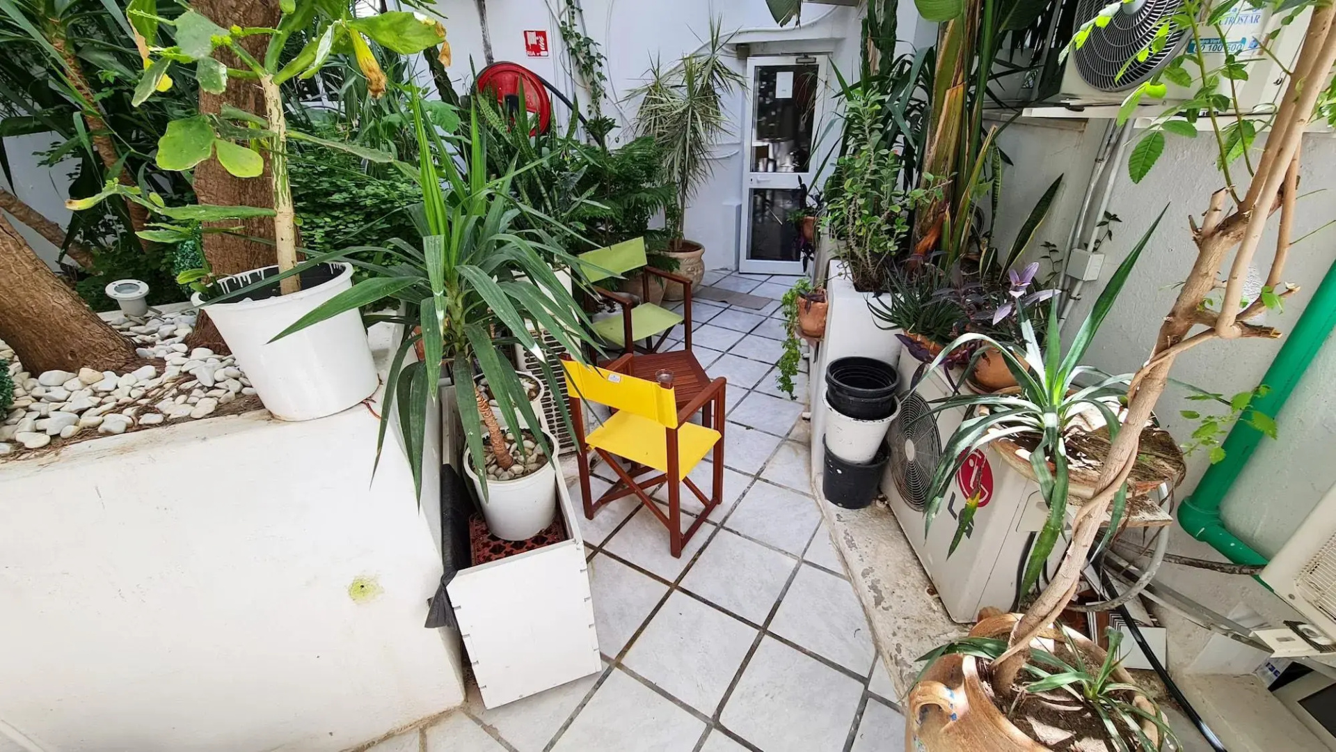 Foto - Hotel Khella