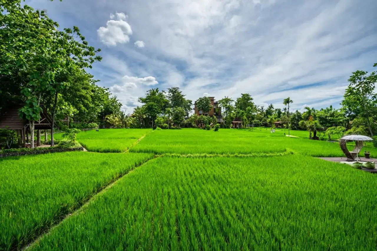 Photo - KajaNe Yangloni