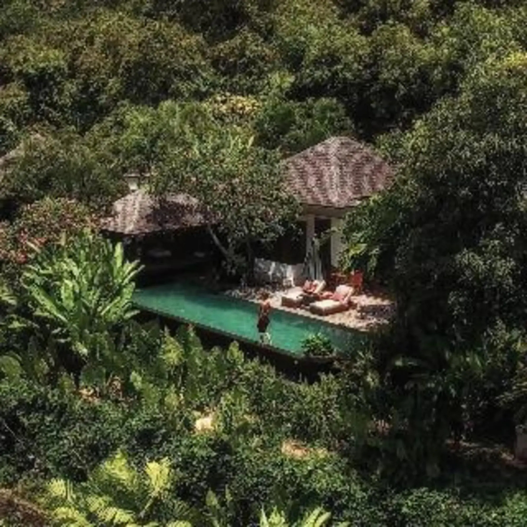 Foto - The Damai