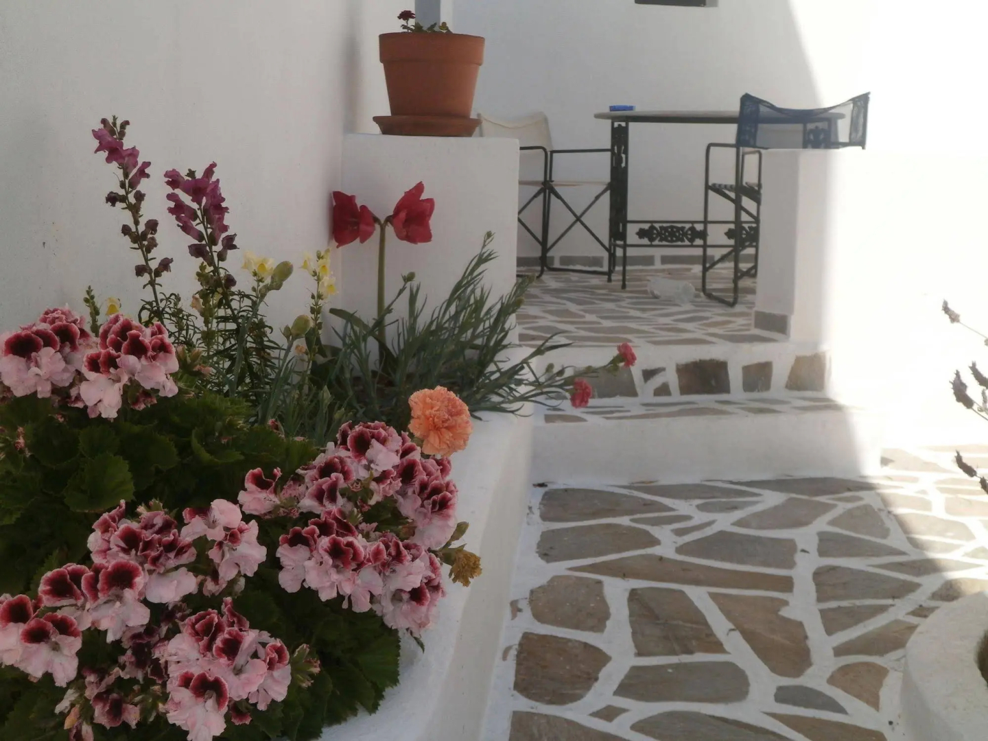 Photo - Villa Ostria