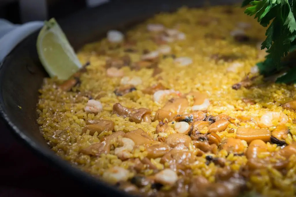 Foto - Hotel Teremar